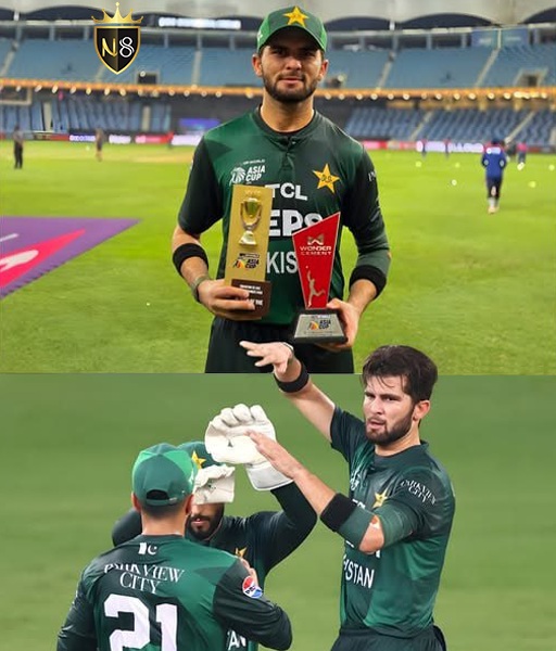 sim_tycoon's tweet photo. ๐๐ฅShaheen Afridi; bowling heat, collecting trophies, and still humble enough to let the opposition pad up.
Out here making silverware look like accessories. ๐ฅ
#shaheenstorm #trophycollector #cricketroyalty #wicketmachine #greenthunder #matchwinner #n8casino https://t.co/mIylWwK7em