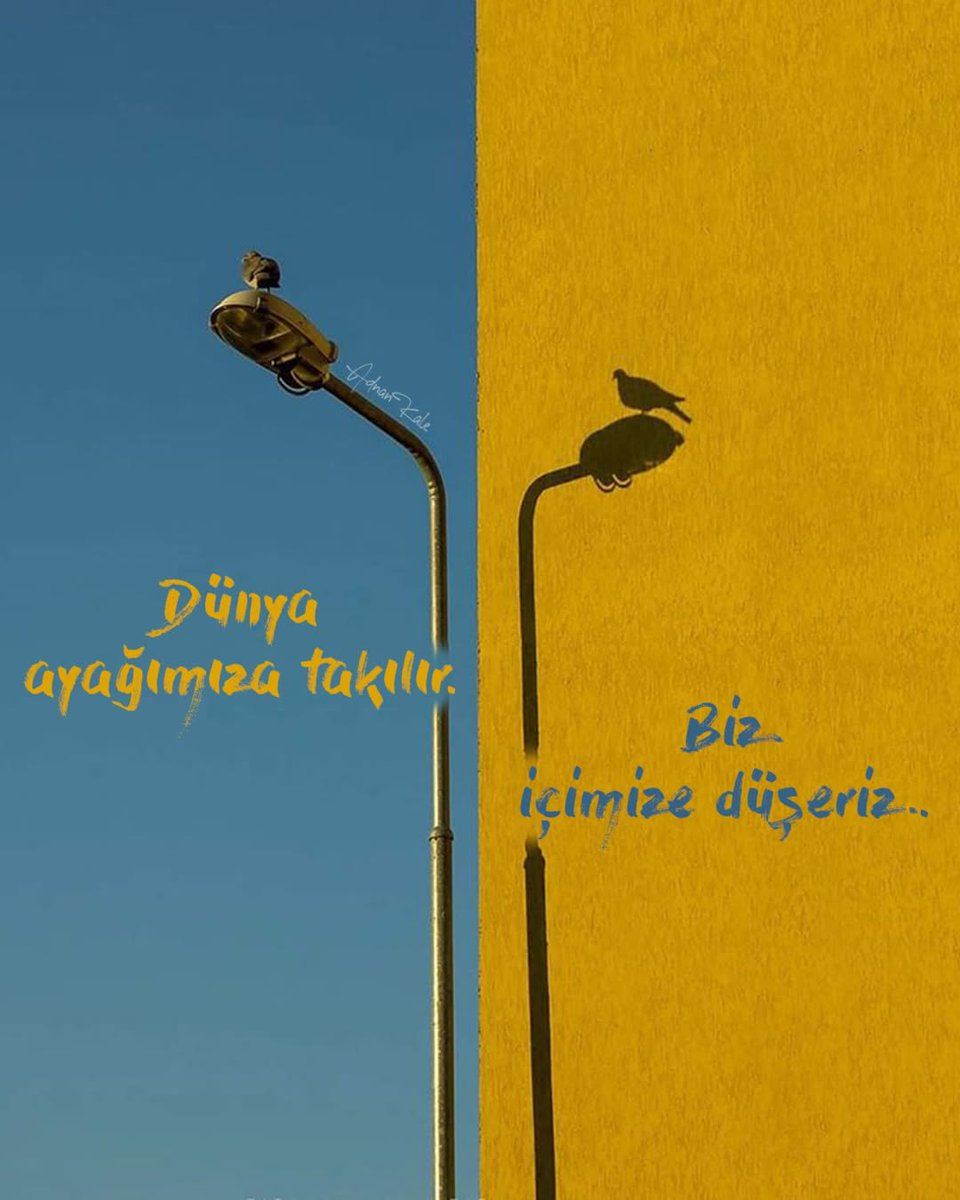 Mavera (@acz_mavera) on Twitter photo 