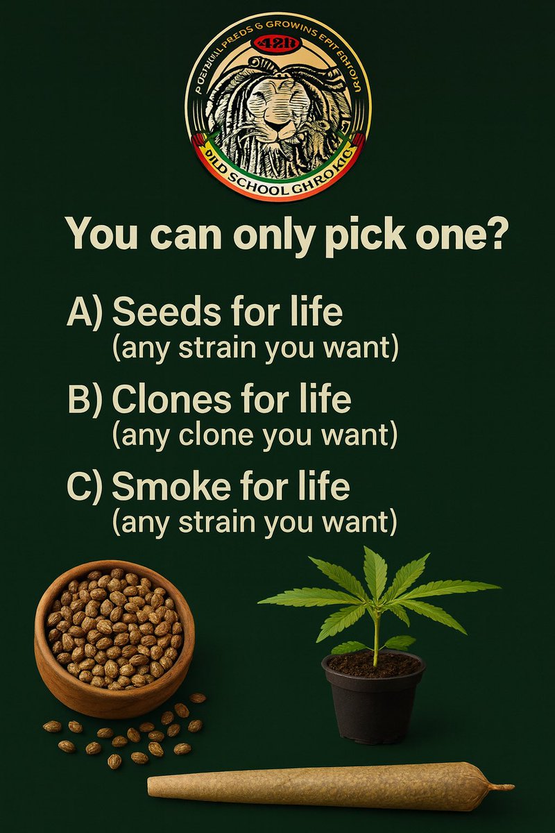 OSCseeds_clones's tweet photo. What would you choose? https://t.co/InfSIZ2E0m