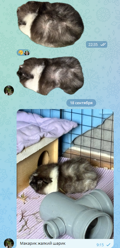 я его главная фанатка