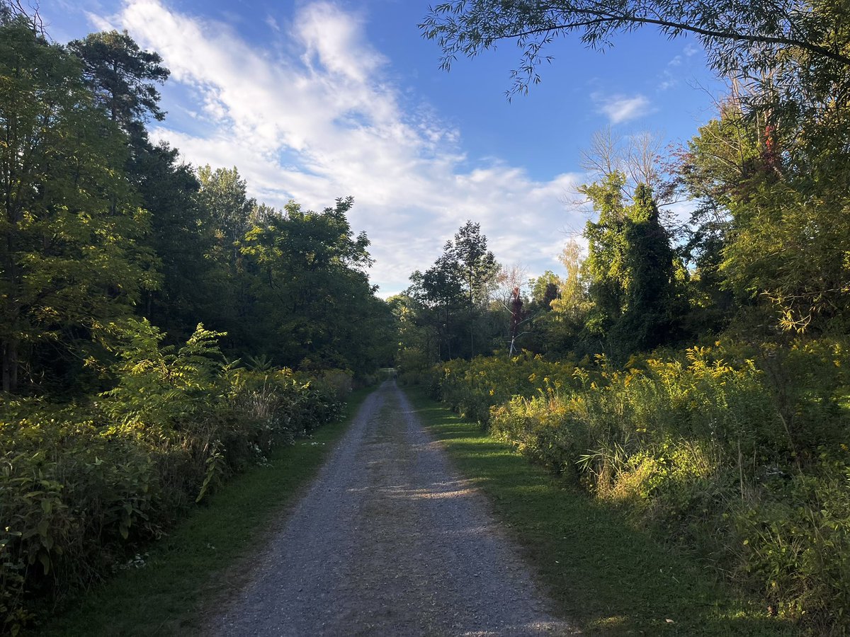 2007 (@thesummerof2007) on Twitter photo 