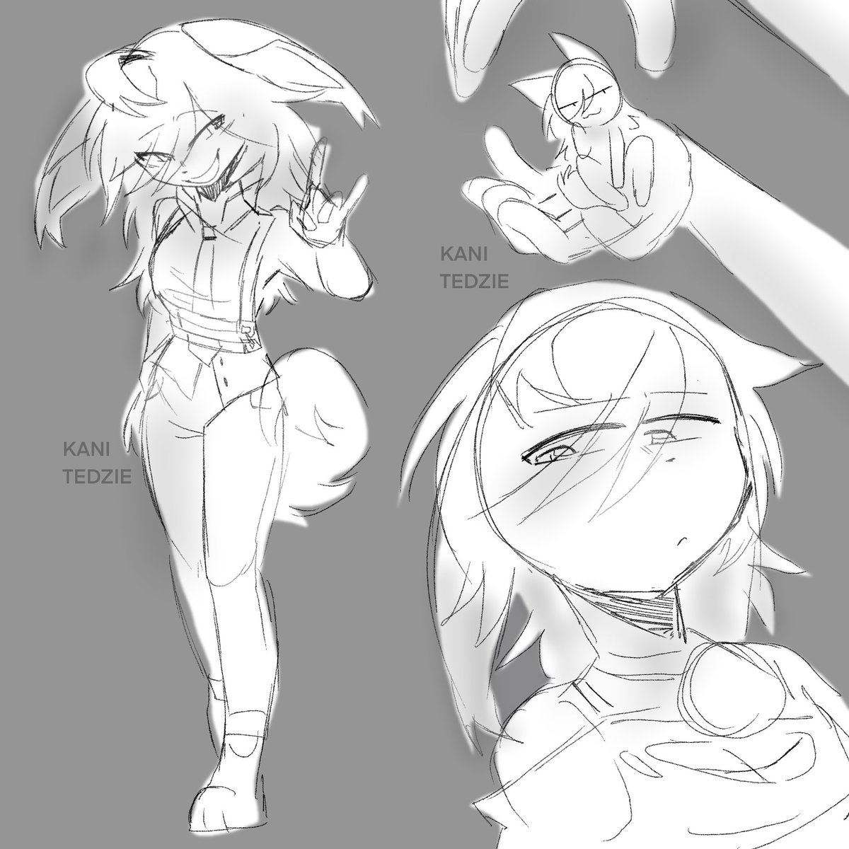 Kani ✦ tweet media