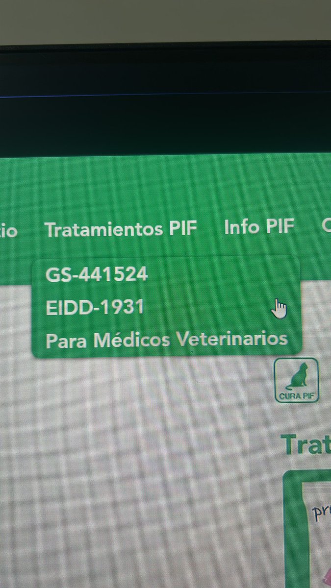 HerrerFx's tweet image. Hi, many don’t know me but I want to share my cat’s situation: my loyal therapy kitty was diagnosed with leukemia and FIP. I’m also in psychiatric treatment and struggling financially. I’m offering art commissions, please help by sharing.

My tg: @HerrerFx