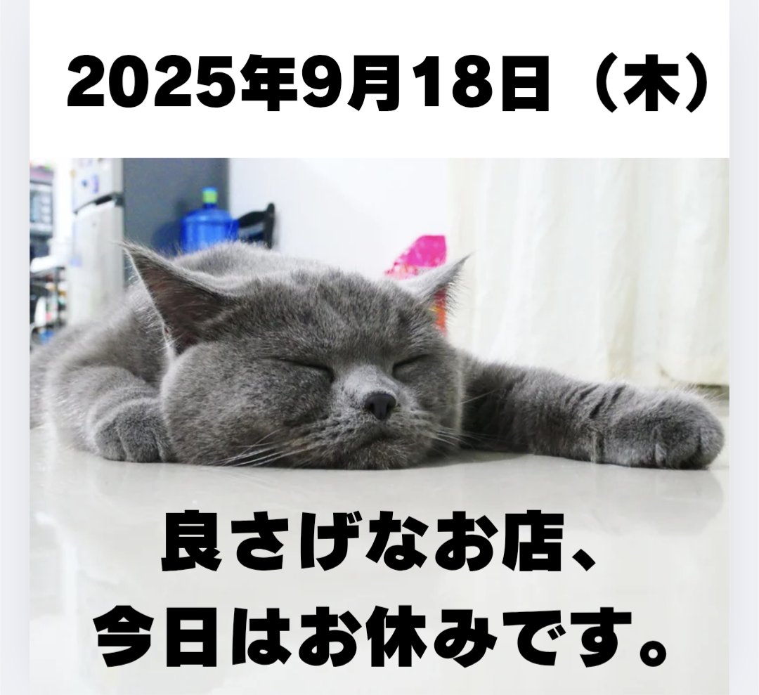 Meme@まとめ買い大歓迎 ken on X: 