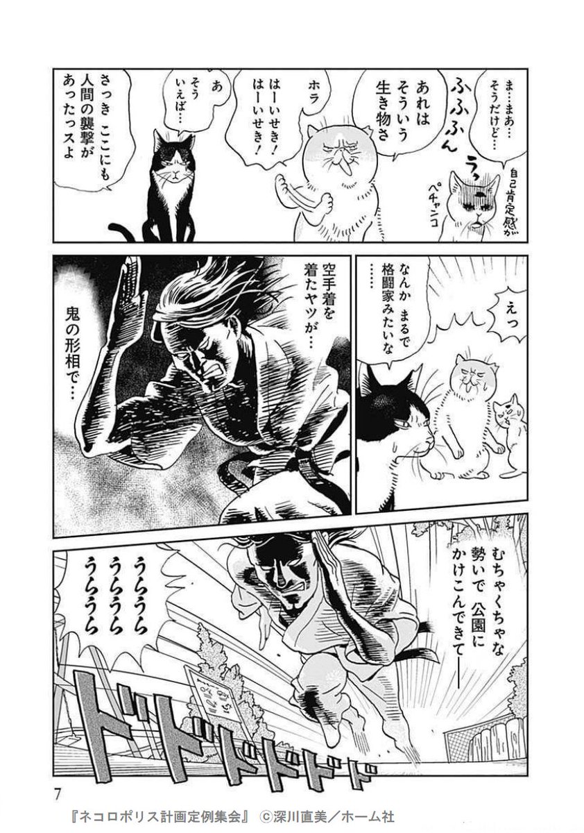 深川直美 6/25発売ネコロポリス計画定例集会3巻 (@fukaspo) / Posts / X