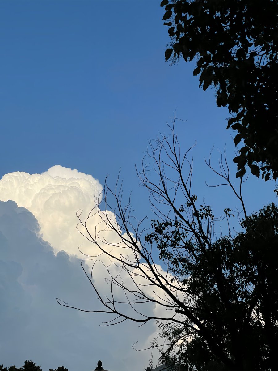 陽の光が雲に差し込むその瞬間、
心もそっと癒されていく気がしました。
穏やかさって、こんなにも美しいものなんですね🌥️