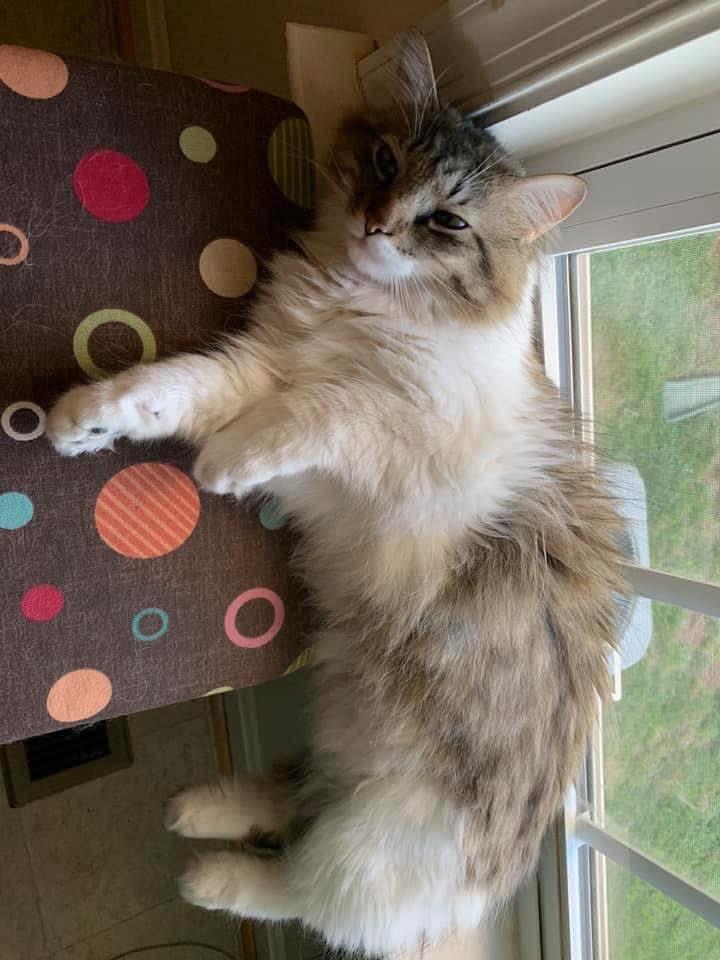 Ecletic_Explorations tweet media