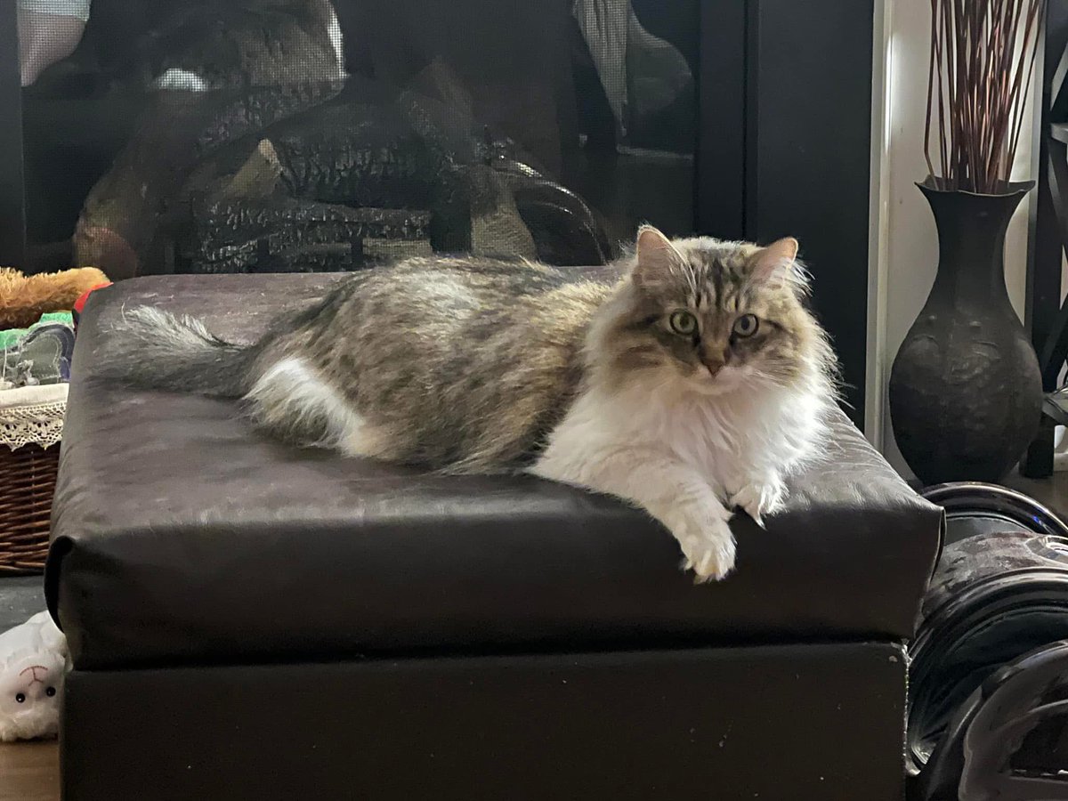 Ecletic_Explorations tweet media