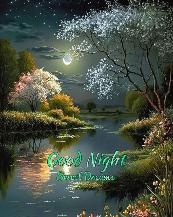 mshafqat72's tweet photo. 🌸🕯️ Good Night 🌙
#GoodNightQuotes #PeacefulMind #CalmNight #RelaxationTime #EveningMood #MoonLightMagic #StarryMood #SweetSleep #RestWell #PositiveVibes https://t.co/w7sVmFlO73