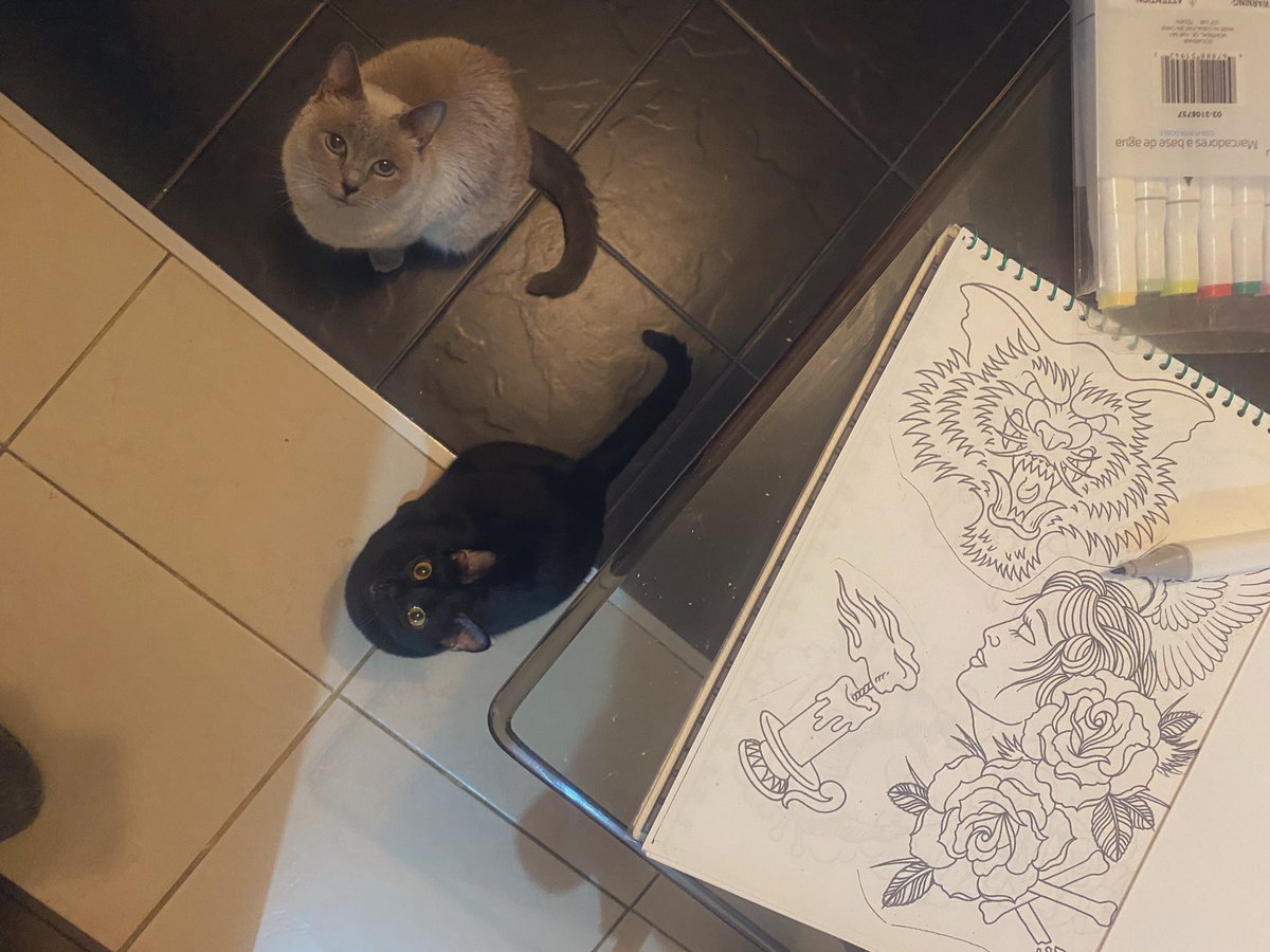 ElAndresC's tweet photo. Mis gordas, fieles compañeras 🐾✨
en sus ojos encuentro calma,
en su compañía, amor sin condiciones. https://t.co/JNJIskxTDx