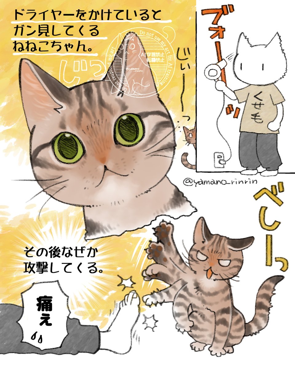 #今日の山野絵
ドライヤーガン見、その後怒る猫さんは
いらっしゃいますか❓
ウチは7匹中ねねこちゃんだけ。
先住猫のすぶたさんも攻撃してたなぁ~🤔