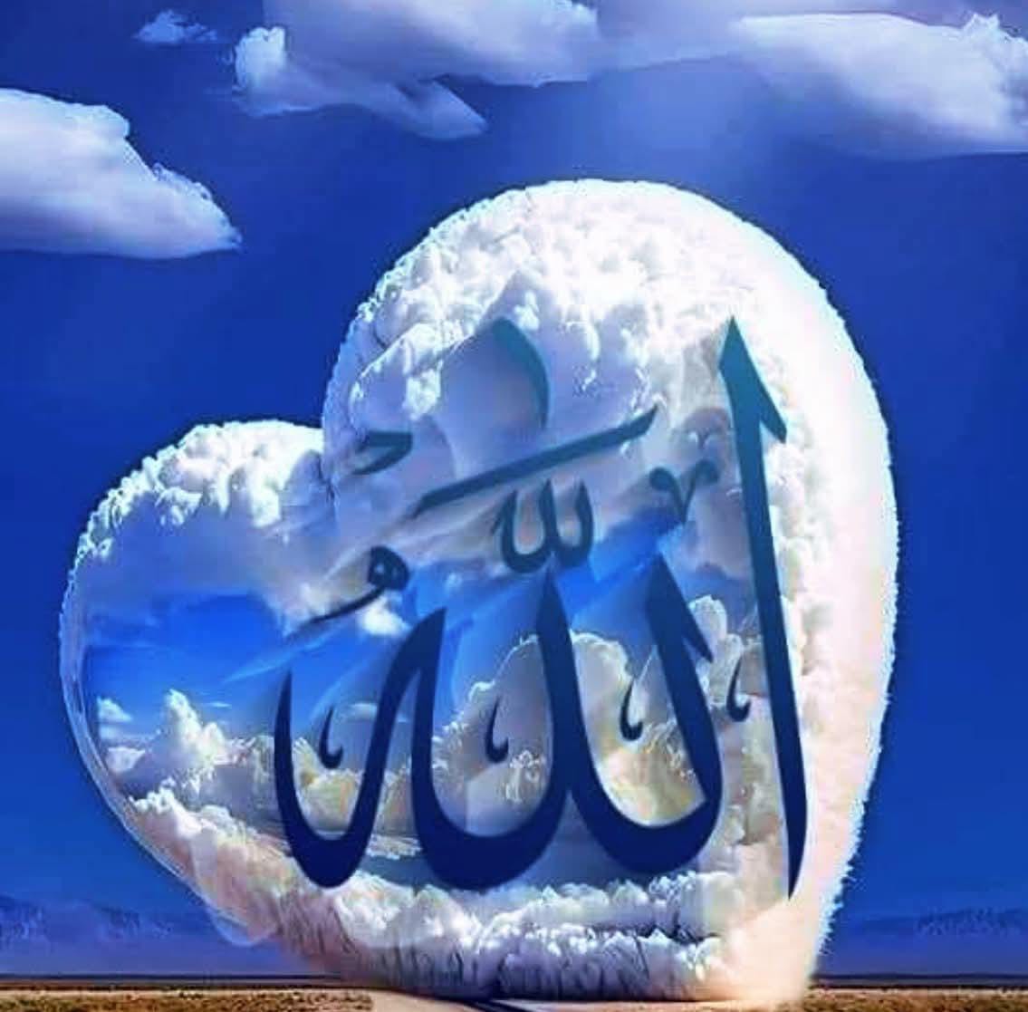 Khawaja Shahid (خواجہ شاھد) tweet media