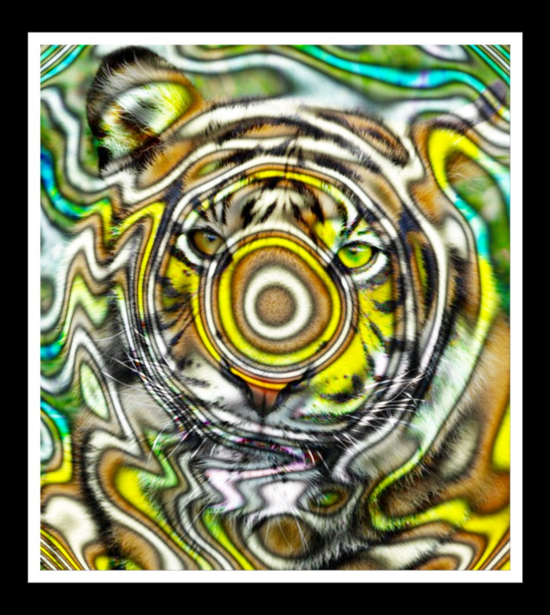deconbatch's tweet image. 水飲み場のトラ🐯
#ImageProcessing #Processing #creativecoding