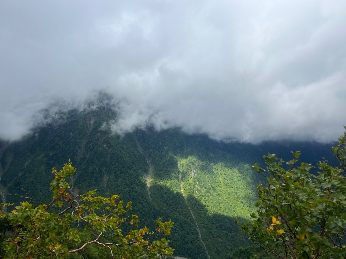 2日目終了🛖
深夜2時頃、凄まじい強風で起床🌪️
その後4時過ぎに雨が降り始め、テント内に浸水🌧️
身を挺してテントを撤収させ、天候が落ち着くのを待って8時過ぎに大天荘を出発
アップダウンを繰り返す道中には雷鳥もおり、一瞬晴れ間も
午後は風雨に雷まで来るとの予報なので今夜はヒュッテ西岳で宿泊