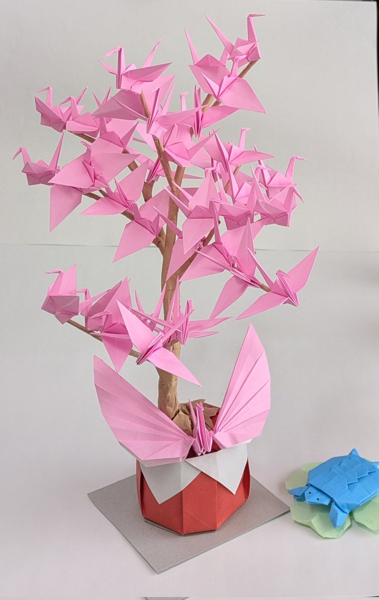 カメが羨ましそうに