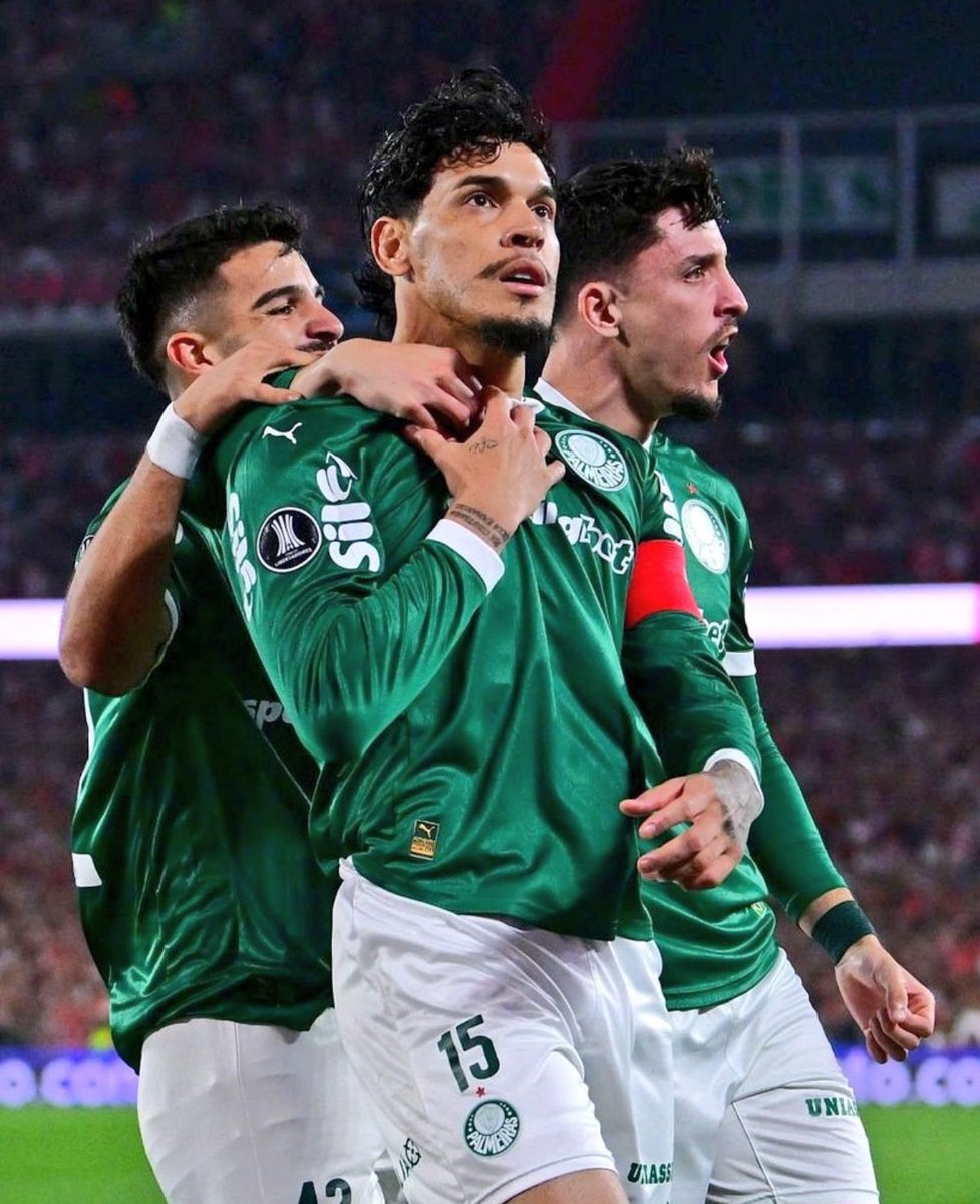 Bruno Vicari tweet media