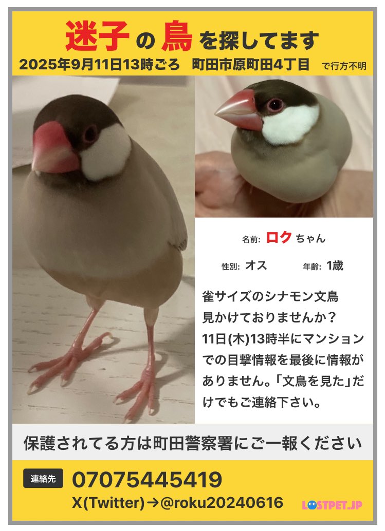roku20240616's tweet image. 本日多くのお宅にポスターを入れさせていただきました。辛くなるような内容のため、不快にさせてしまっておりましたら申し訳ございません。
何卒ご理解のほどよろしくお願いいたします。