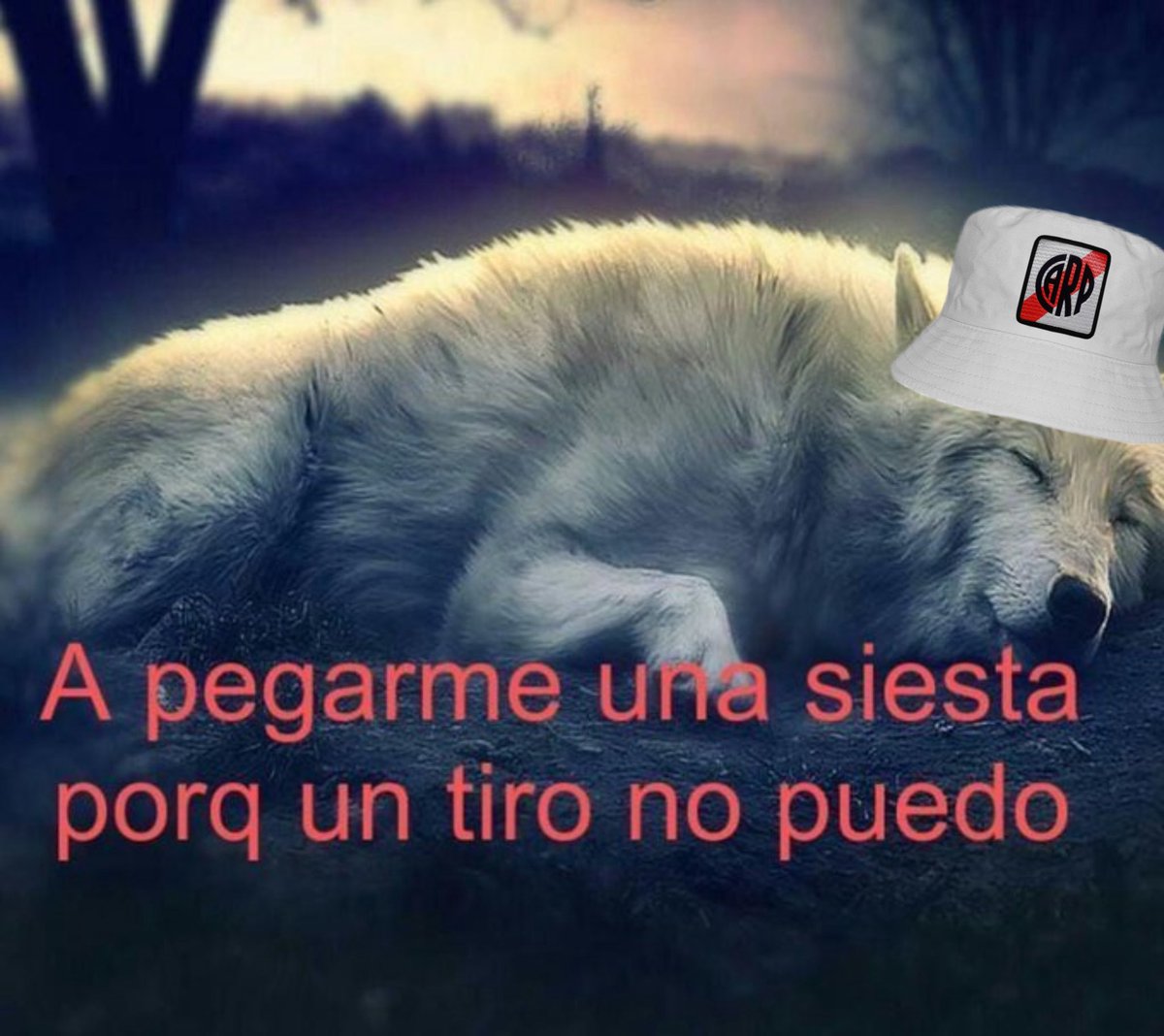 nada mas que agregar