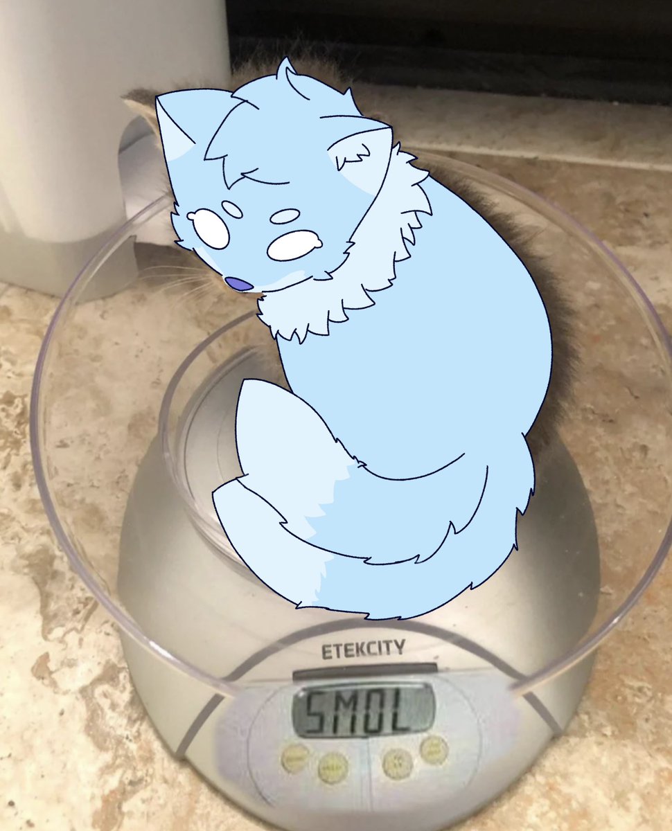 GeKo_109's tweet photo. smol
#ghostfox #kaijuparadise https://t.co/ks0gShSIZA