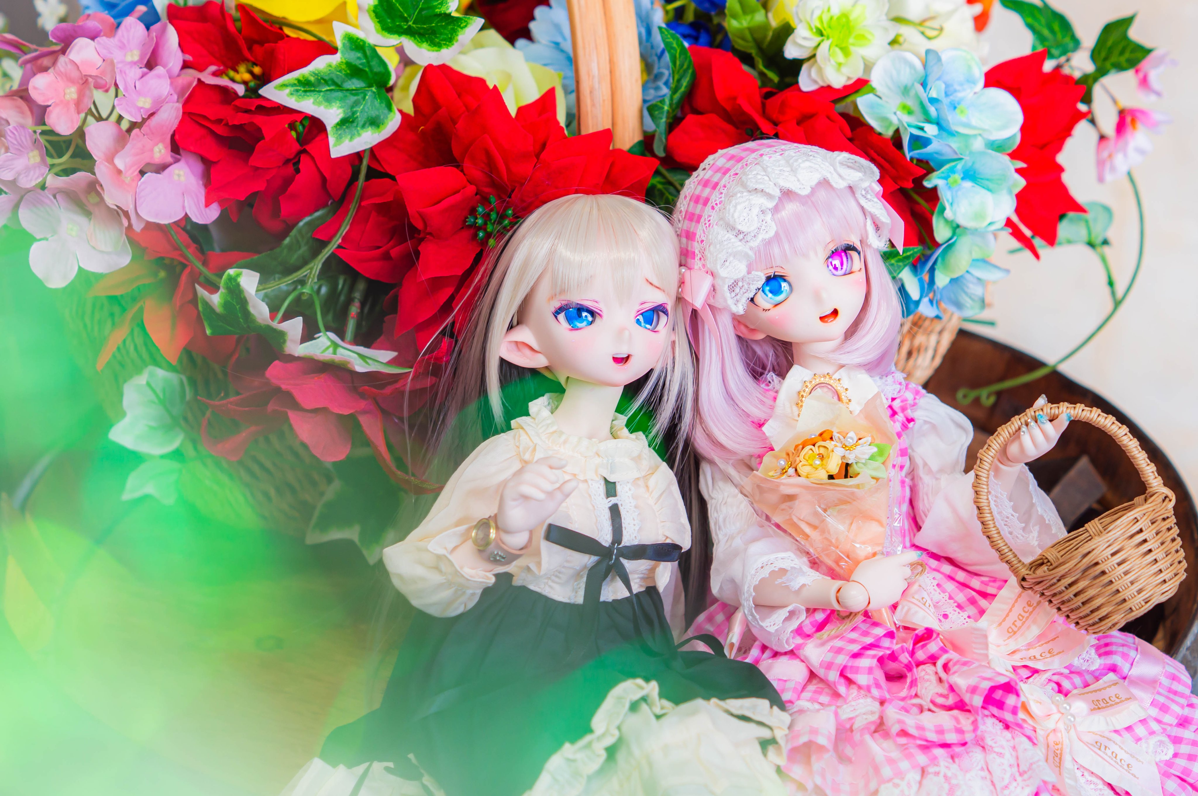ハ*ビ様 komugi様✾ラグドールねこちゃん　アートドール どきどき♡どーる on X: 