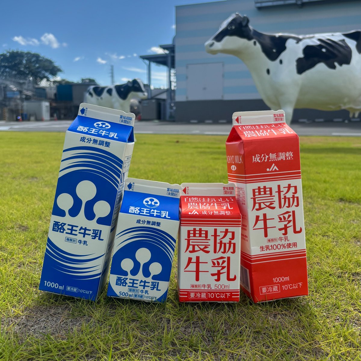 ／
牛乳をのんでもらおうキャンペーン
応募期間明日まで📣
＼
現在開催中の
牛乳をのんでもらおうキャンペーンですが
応募期間明日までとなります…！
　
みなさん応募忘れはないですか？
お肉やフルーチェ、乳製品セットなど
当たるチャンス🐮💗
HPからチェックを！
rakuou-kyodo.co.jp