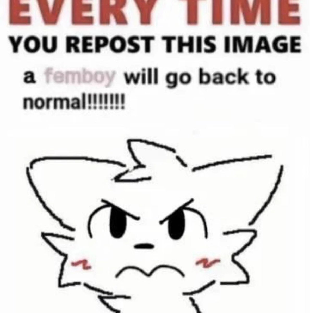 basedman🇺🇸 (@basedman_99) on Twitter photo 