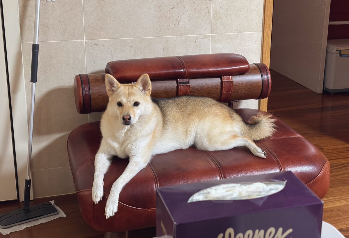 언제 어디서나 명화 포스의 가나쥐