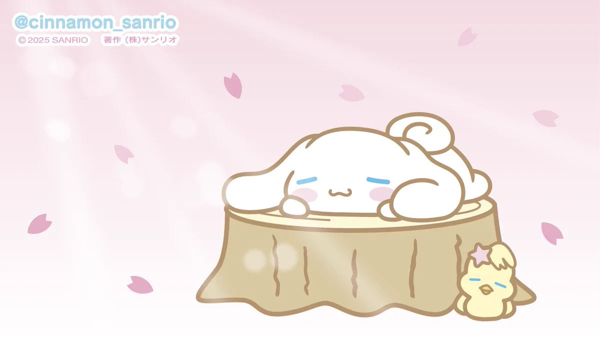 シナモン【公式】 on X: 