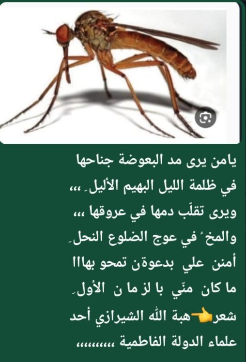 لا اِ له  اِلا  أنت  سبحانك  أني  كنت  من  الظالمين