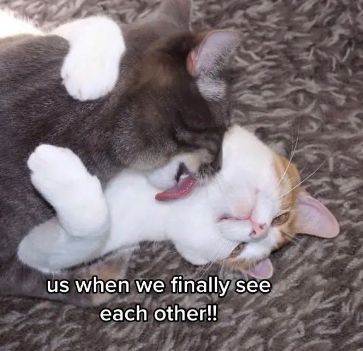 ♡ (@astralbaes) on Twitter photo 