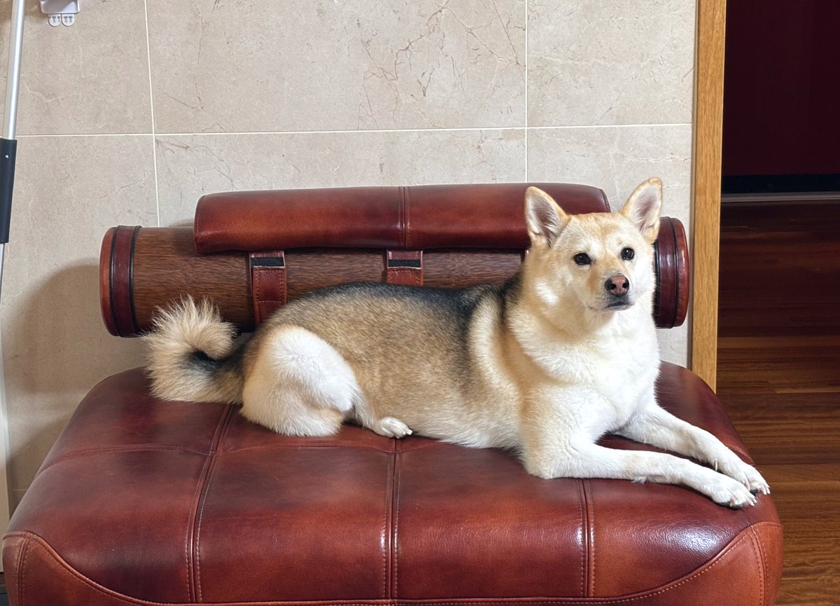 오늘따라 왤케 예쁘지🥹