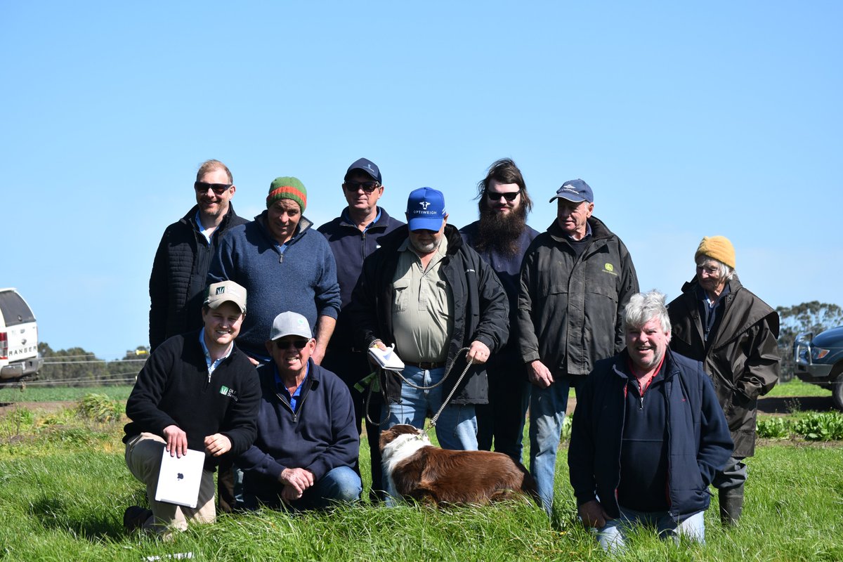 Grassland Society tweet media