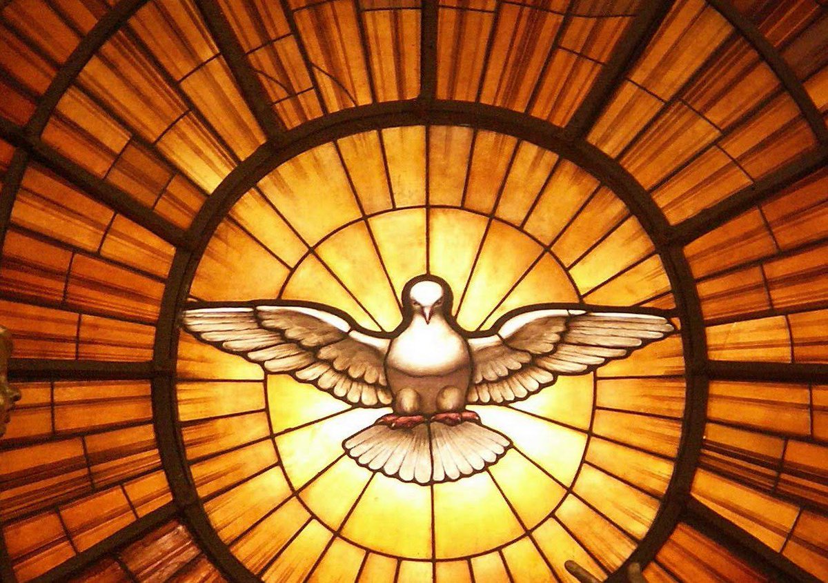 TarekSaidVzla's tweet photo. Oración de la mañana al Espíritu Santo y a María Santísima

Espíritu Santo, dulce huésped del alma,
en este amanecer me pongo en tus manos.
Ilumina mi mente para pensar con claridad,
enciende mi corazón para amar sin medida,
fortalece mi voluntad para elegir el bien,
purifica mis labios para hablar con verdad,
inspira mis pasos para caminar en justicia,
ordena mis sentimientos para vivir en paz,
renueva mis fuerzas para trabajar con alegría
y abre mis ojos para reconocer lo que me rodea y hacer todo cuanto te agrade.

Espíritu de Vida,
sé mi defensa en la tentación,
mi descanso en el cansancio,
mi consuelo en la tristeza,
mi impulso en la esperanza,
mi guía en las decisiones,
mi luz en la oscuridad,
mi fuego en la tibieza
y mi valentía en la prueba.

María Santísima, Esposa del Espíritu Santo,
cúbreme con tu manto y enséñame a ser dócil como tú a sus inspiraciones,
para que, como en tu corazón, Él encuentre en mí un lugar donde habitar,
y mi vida sea siempre eco de la ternura de Cristo.

Espíritu Santo,
alumbra este día, santifica cada instante
y conviértelo en ofrenda de amor al Padre.
Que todo en mí, pensamientos, palabras y obras,
proclame la gloria de Jesucristo, nuestro Señor.

Amén.

FE y más FE.
Buenos días,
Dios los bendiga.