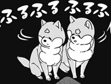 今日の推シバ(おしば)です🐕"
https://t.co/qnVzgNDOYr
#シバつき物件 #推シバつき物件 