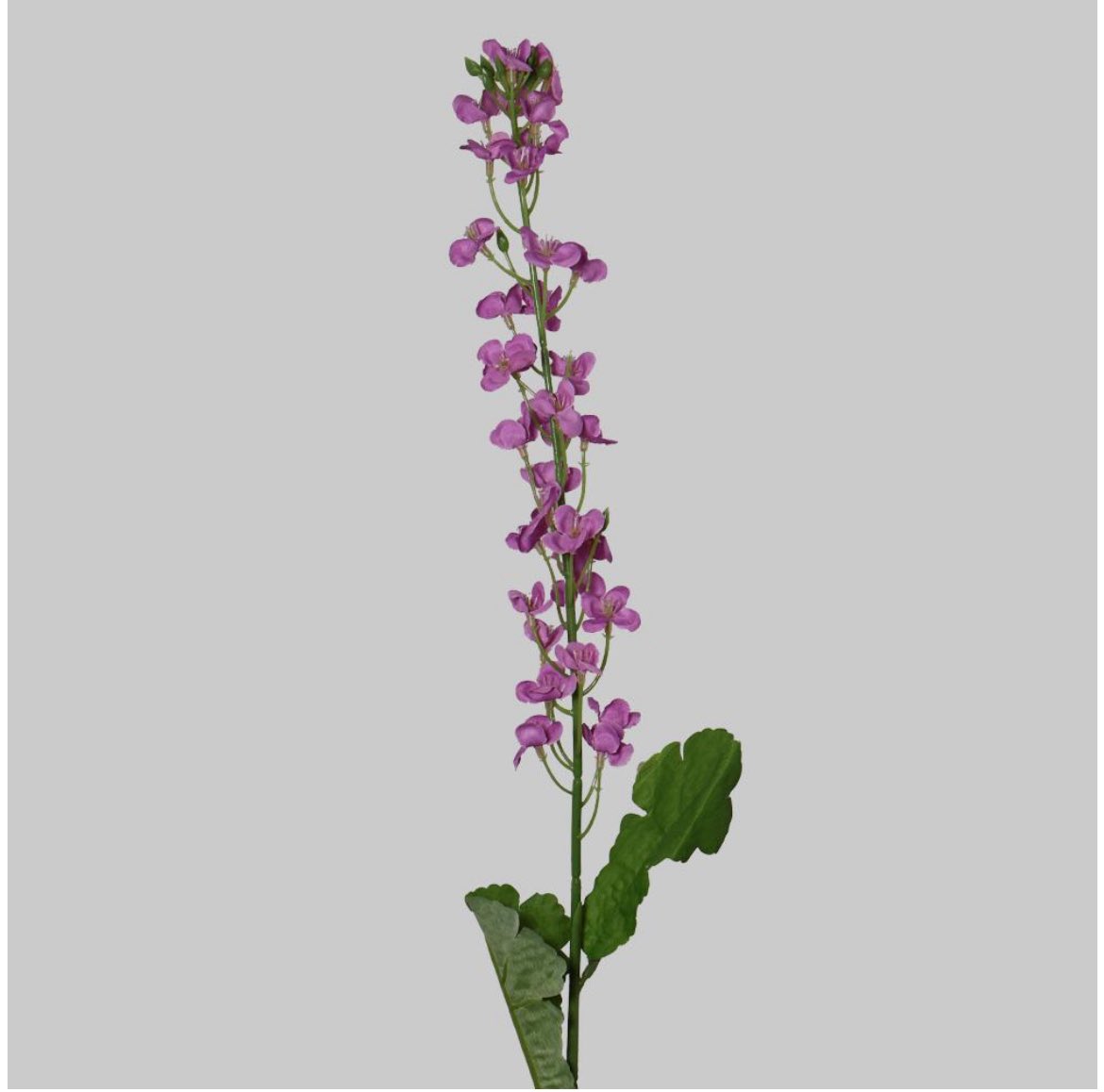 "فَقَد تُورِقُ الأَشجَارُ بعد ذُبُـولِهَا
ويَخضَـرُّ سَاقُ النَّبتِ وهوَ هَشِيمُ"