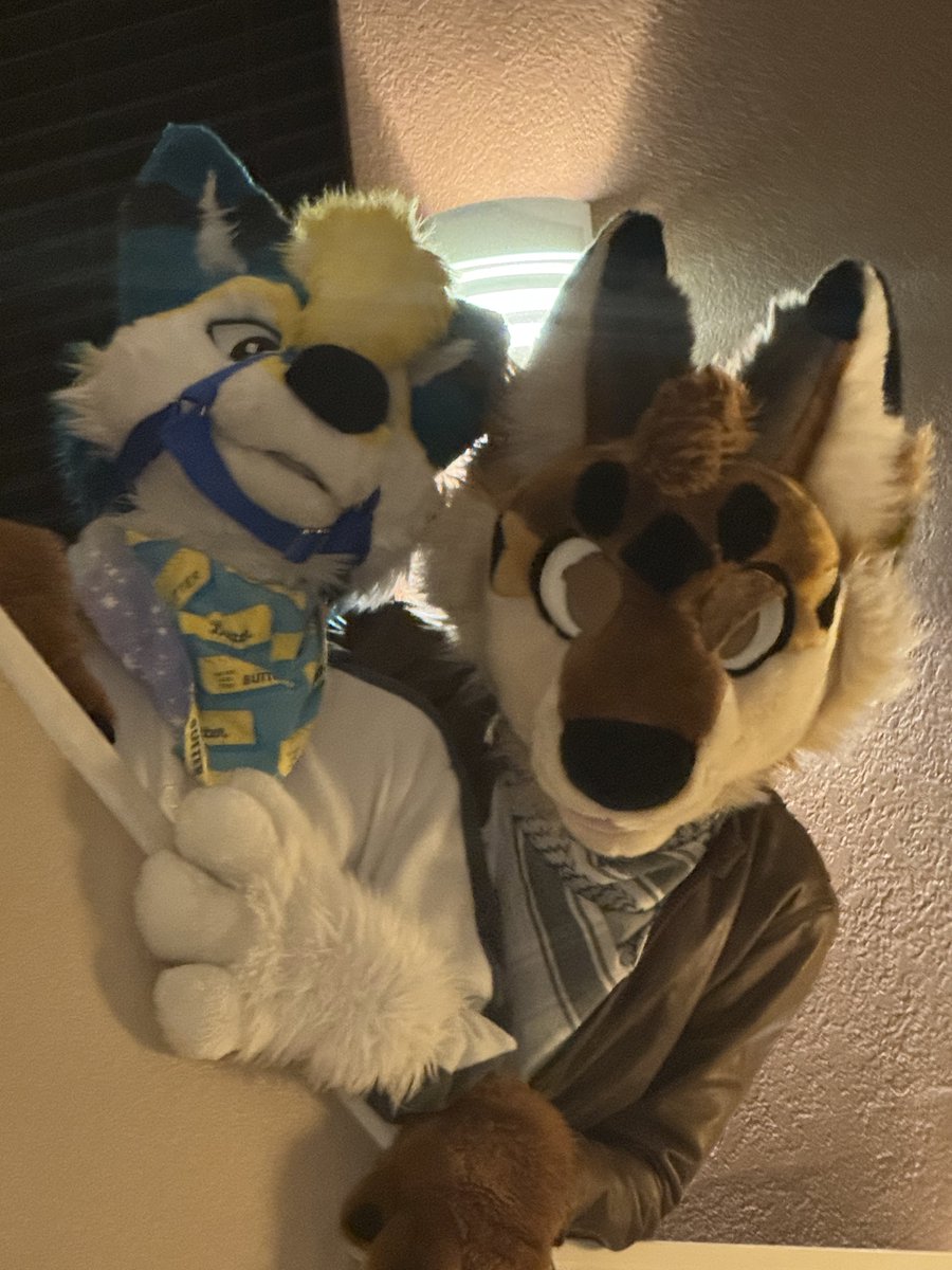 Danno 🔜 LVFC, AC, MP???, AFC (@dannodoggo) on Twitter photo How to find this dog at #AnotherFurryCon
📸 <a href="/vennydeer/">Venny Venado ➡️ bsky</a> <a href="/_CrowCreations_/">Crow Creations Fur-tography! 🔜 ANW+FC+NFC+TFF+..!</a> <a href="/JakuzziRedPanda/">Jakuzzi 🔜 FC, NFC</a> <a href="/Coda_Warrior/">Coda</a> How to find this dog at #AnotherFurryCon
📸 <a href="/vennydeer/">Venny Venado ➡️ bsky</a> <a href="/_CrowCreations_/">Crow Creations Fur-tography! 🔜 ANW+FC+NFC+TFF+..!</a> <a href="/JakuzziRedPanda/">Jakuzzi 🔜 FC, NFC</a> <a href="/Coda_Warrior/">Coda</a>