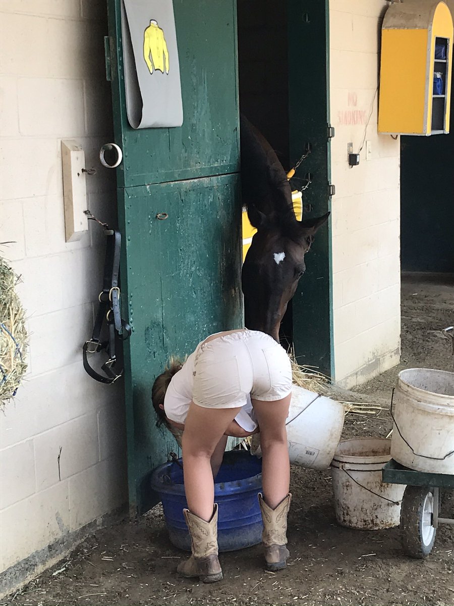 We had to say goodbye to a long time family member this week. Guapo leaves us with more memories than we could have wished for. Thank you for all those years…Vale Guapo