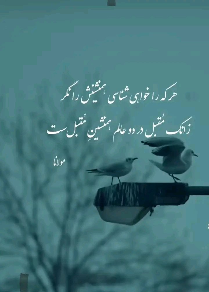 Hashmatullah tweet media