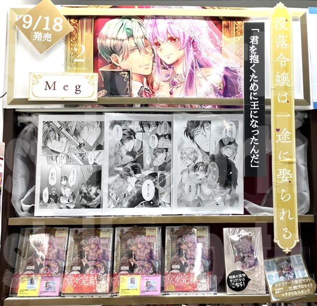 【新品未開封】灰色のアルカディア ステラワース 特典 セット 芹珠 AGF2024】ステラワース販売リスト公開！「灰色のアルカディア