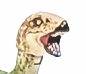 Achillobator_G's tweet image. After the recent reveal of Mattel&apos;s reveal of the Sinoceratops with swappable jaws, I&apos;ve realized this half-confirms the dryosaurus will have swappable jaws as well instead of an articulated jaw (1/2)
#JurassicWorld #Mattel #toys #dinosaurs #Figures