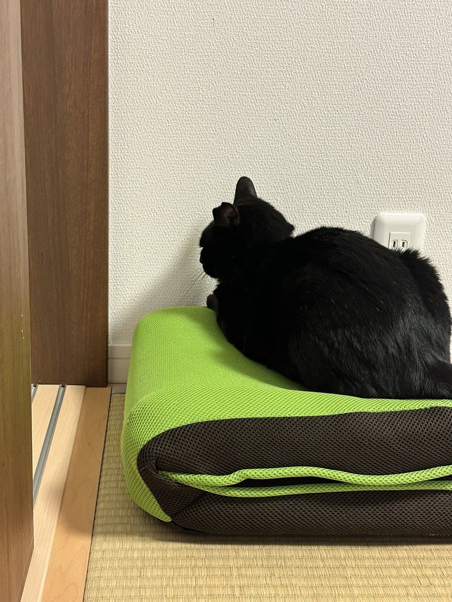 黒猫 on X: 