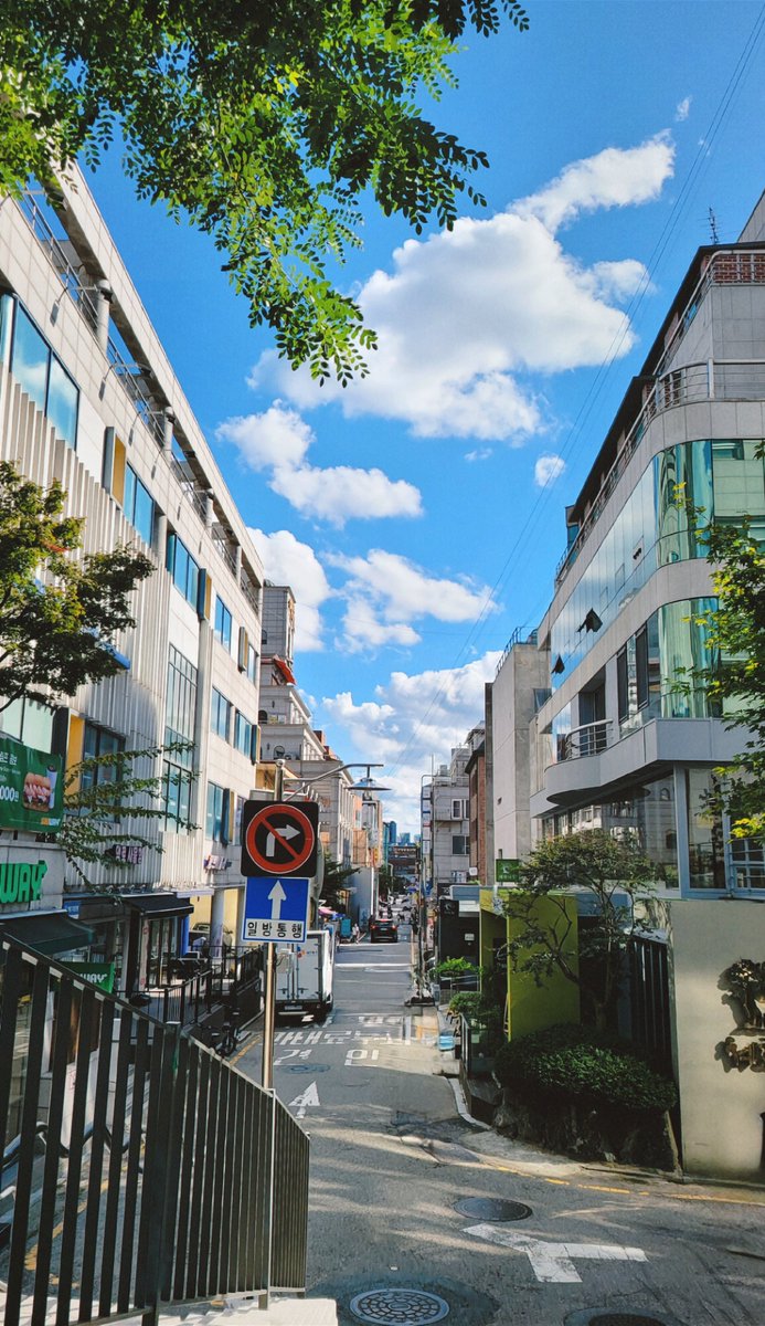 오랜만에 푸른 하늘 댕로☀️