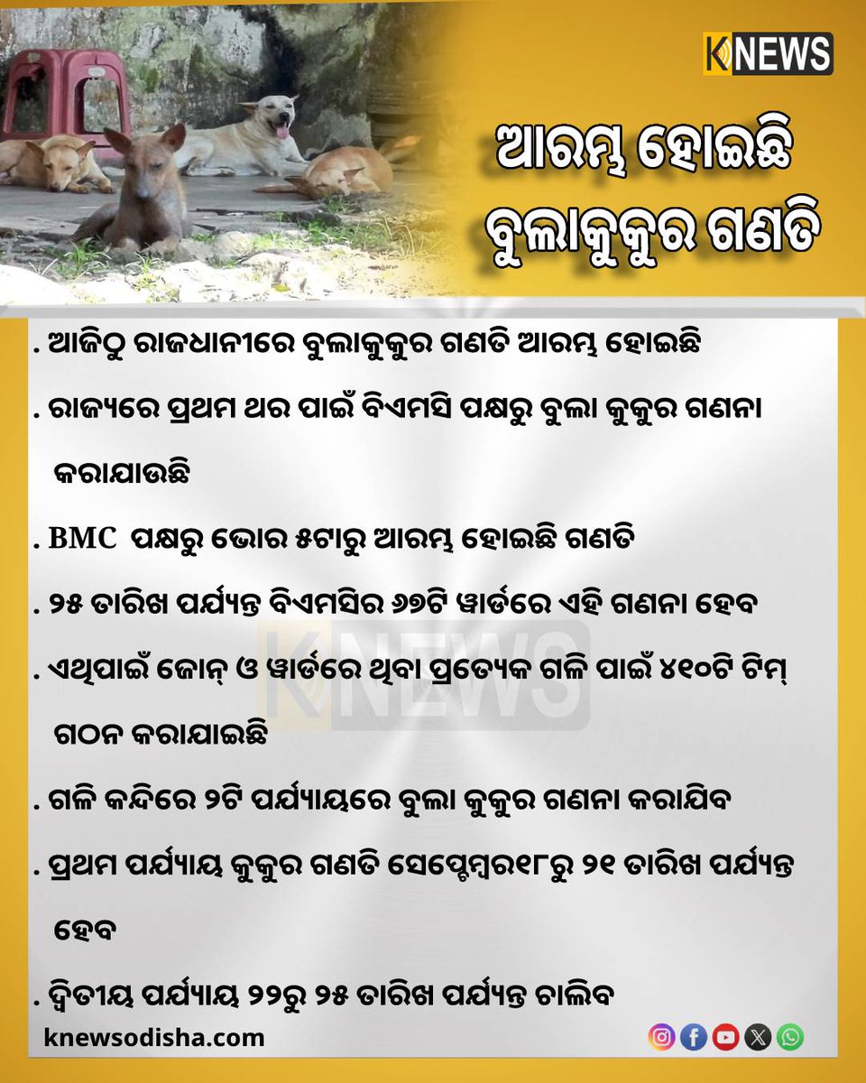 knews_odisha's tweet photo. BMC ପକ୍ଷରୁ ଭୋର ୫ଟାରୁ ଆରମ୍ଭ ହୋଇଛି ଗଣତି , ୨୫ ତାରିଖ ପର୍ଯ୍ୟନ୍ତ ବିଏମସିର ୬୭ଟି ୱାର୍ଡରେ ଏହି ଗଣନା ହେବ
#Bhubaneswar
#BMC
#DogCounting
#odisha https://t.co/tgoJLjkbGy