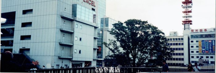 とらや書店 tweet media
