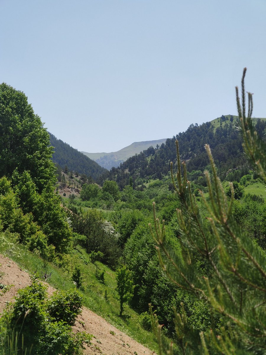 🇹🇷 Günaydınlar Türkiye'm 🇹🇷 Günaydınlar 💛 Fenerbahçe Ailesi 💙 Sağlıkla mutlu gönlünüzce güzel bir güne hayırlı işler bol kazançlar sevgiyle kalın 🇹🇷 #Perşembe