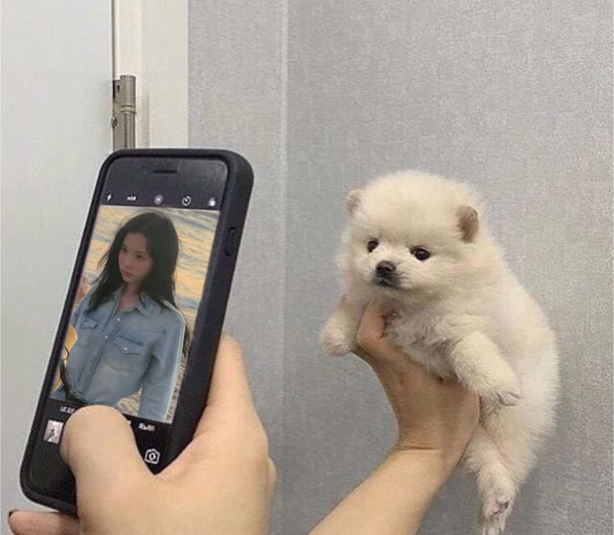 𖠋bluu (@maipaikongboo) on Twitter photo 🤳🐶 🤳🐶