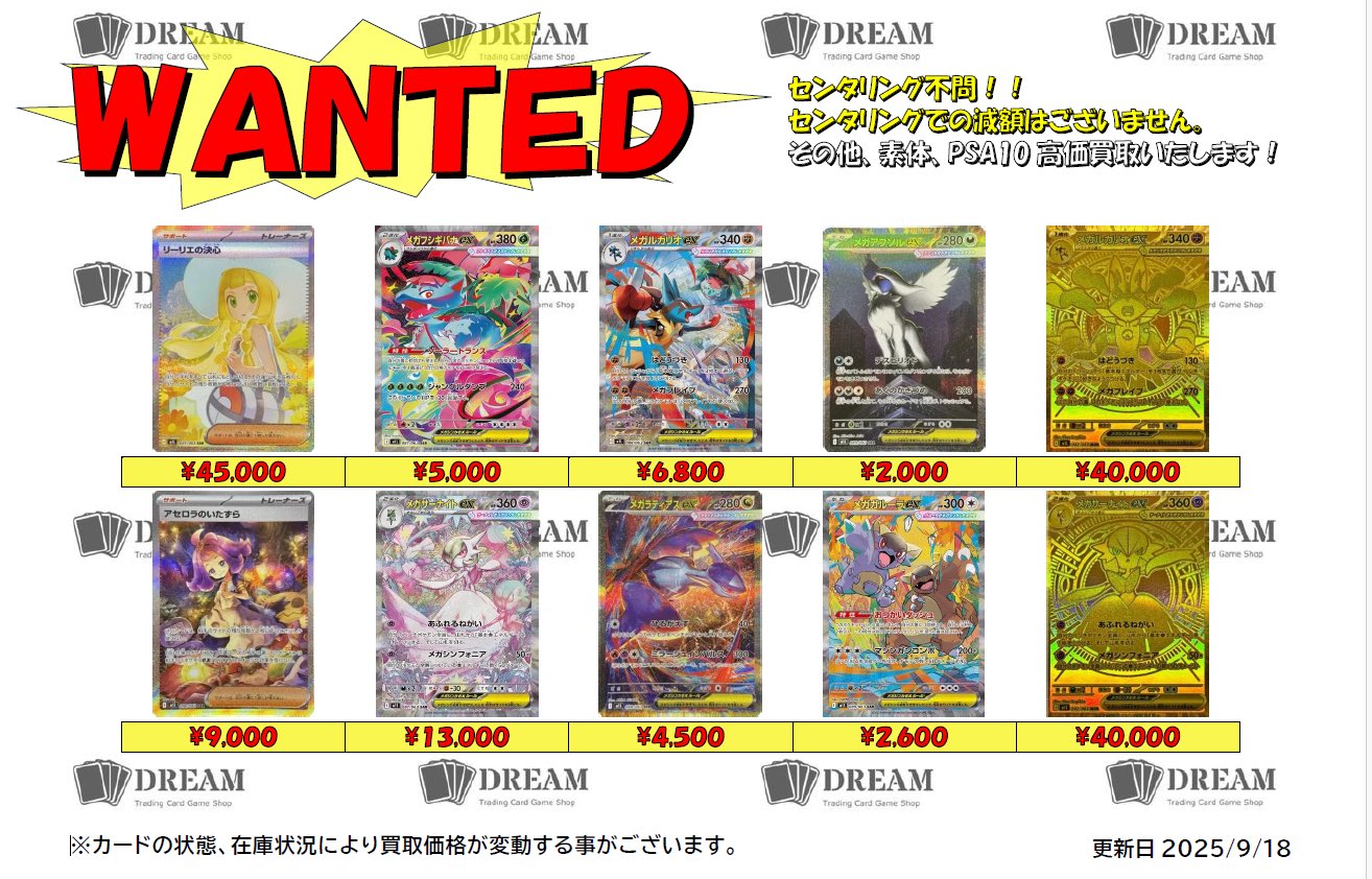 【世界に2枚 まとめ買い割引】PSA10 海を見つめる「リーネ」 SP ホロ TCG DREAM 大阪 日本橋 on X: 