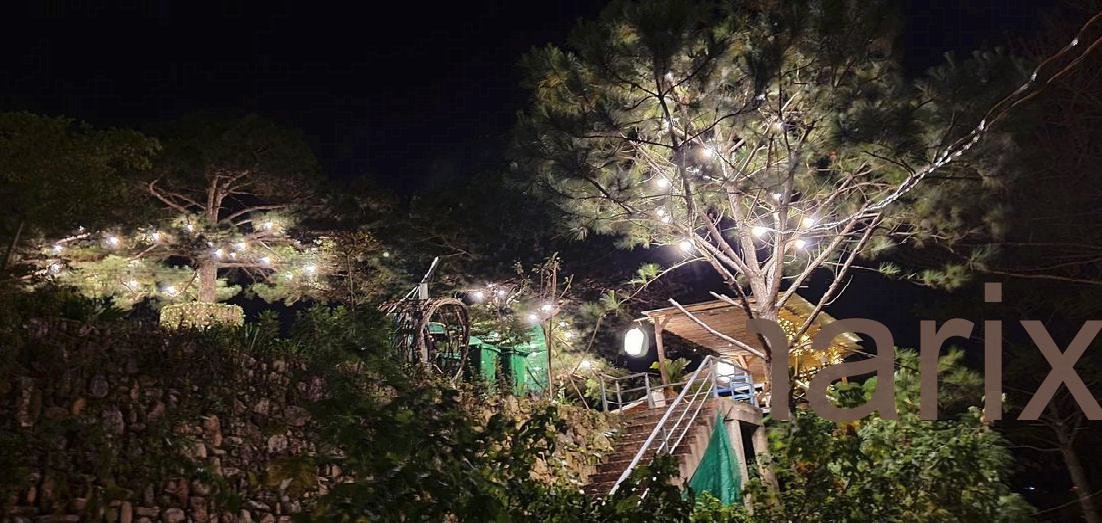 Good morning, every sunrise gives me a new day to love you! ...