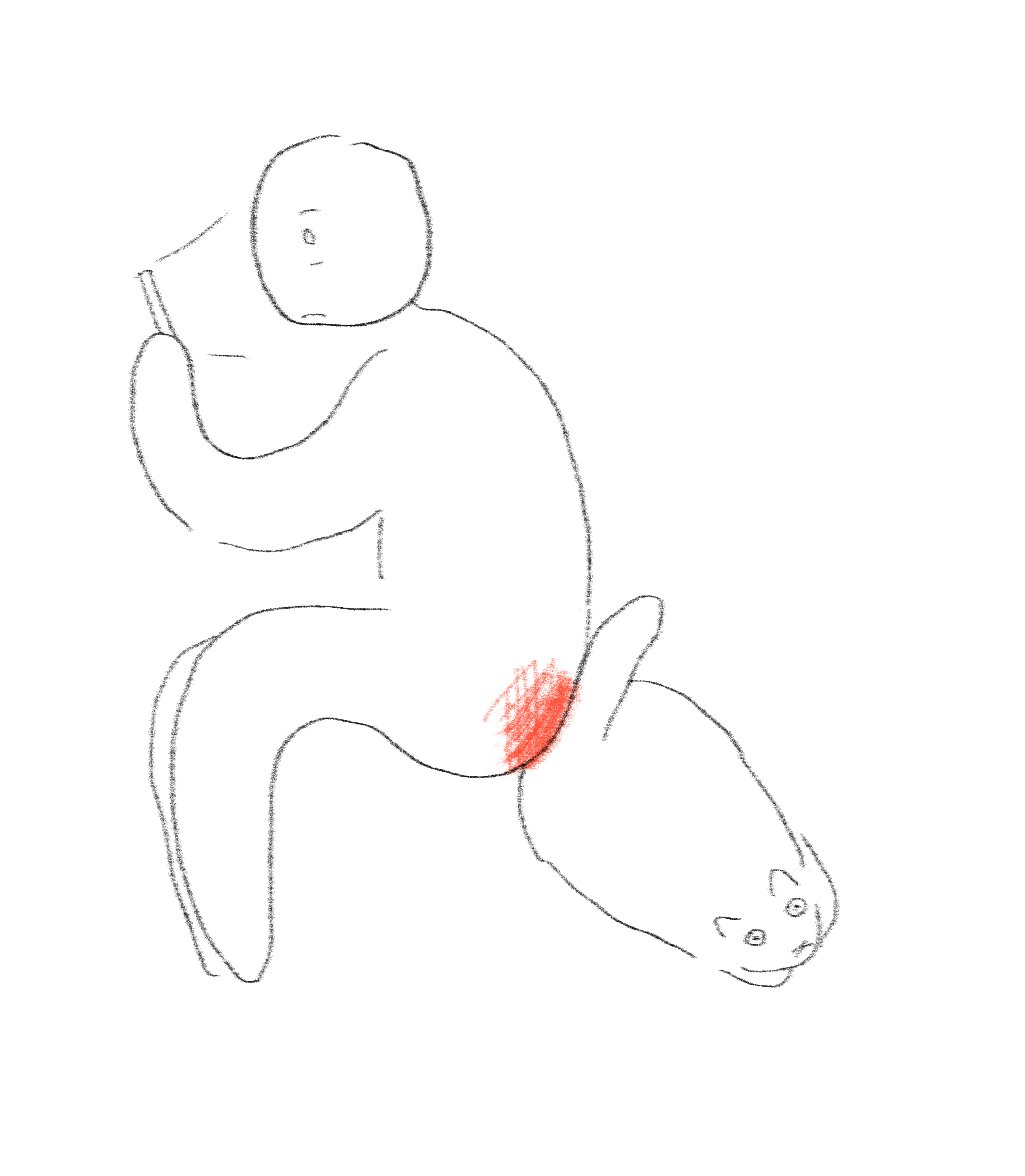 강아지귀엽다
우리고양이는맨날이러는데
왜잒꾸 엉덩이끼리도킹???...엉덩이주차?
엉디뽀뽀???를 해주려고하는지 잘모르겟음...