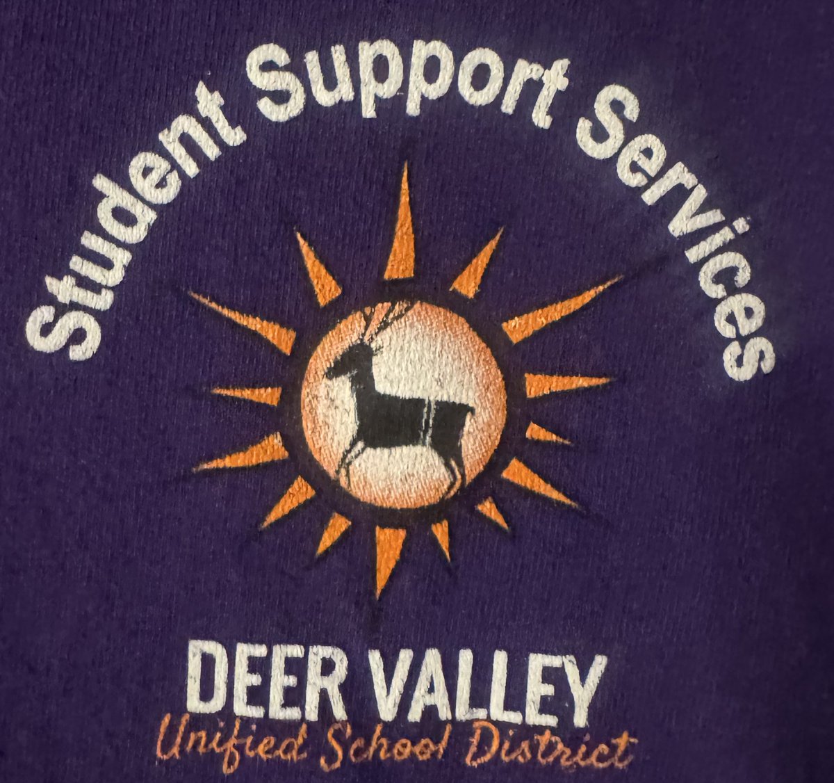 DrFinchDVUSD's tweet image. Student Support Services @DVUSD @LuckyMcCusker See the Able, Not the Label! #SpecialNeeds